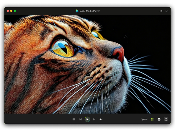 All-in-One Media Toolkit on Windows with AWZ Media Player